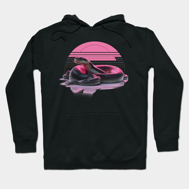 Anaconda in retro sunset Hoodie by Spaceboyishere